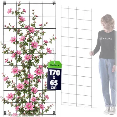 Zdjęcie produktu dla KADAX Pergola Ogrodowa metalowa Podpora Do Roślin Róż Kwiatów Kratka 65x170cm