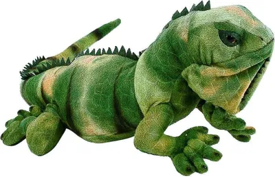 Produktbild von Leguan grün 70 cm Kuscheltier