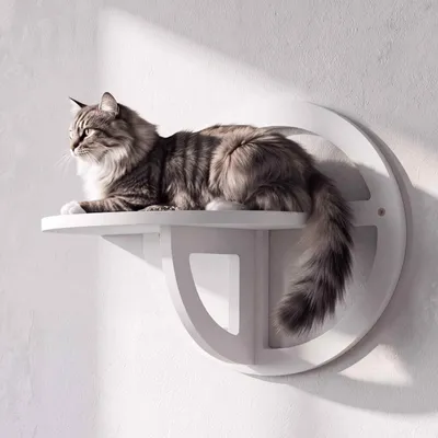 Productafbeelding van Kletterwand HWC-Q57, platform voor katten, kattenmeubel, kattentrap, hout  gecertificeerd, 28x39x22cm, kleur: wit