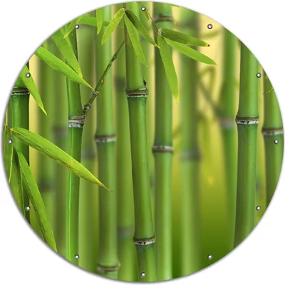 Produktbild von Wallario rundes Outdoor-Poster für Garten oder Balkon, Motiv Grüner Bambuswald, 120 cm Durchmesser