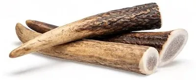 Zdjęcie produktu dla Poroże dla psów naturalne gryzak jelenia minerały białko
