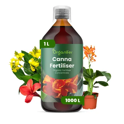 Zdjęcie produktu dla Canna Nawóz Płynny 1 L – 3-4-3 NPK – Do Kvitnúce Rośliny – Do Bujne Listy i Silne Kwiaty – Podporuje Korzenie i Vitalitu – Organifer