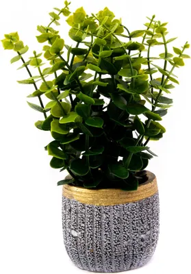 Produktbild von Künstliche Blume im Topf 22cm - Deko Pflanze wie echt - Pflegeleichtes Wohnaccessoire Verschiedene
