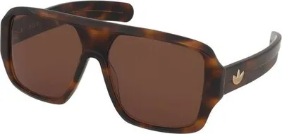 Produktbild von Adidas Originals OR0132 Dark havana 57/15/140 Uni Sonnenbrillen