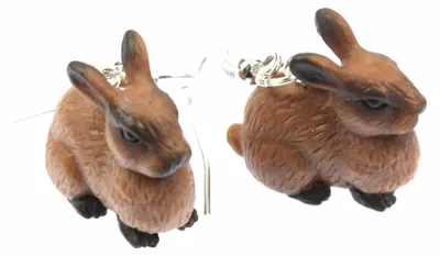 Produktbild von Kaninchen Ohrringe Kaninchenohrringe Hase Miniblings Osterhase braun Gummi