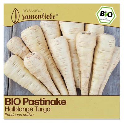 Produktbild von Samenliebe  Pastinake Samen | Halblange Turga - winterhart & weiß - samenfestes  Saatgut