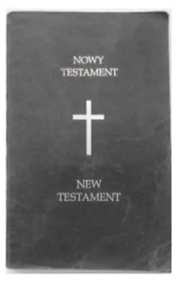 Zdjęcie produktu dla Czytając Stary Testament
