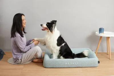 Produktbild von PETKIT Four Season Sleep Bed M (P7110M)