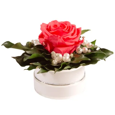 Immagine prodotto di Rosemarie Schulz Box con rosa stabilizzata Corallo Diamonds & Pearls