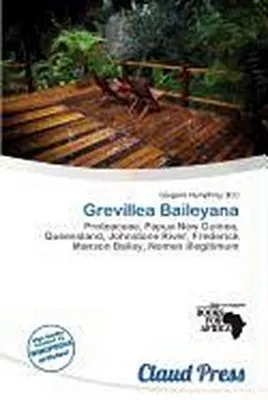 Produktbild von Grevillea Baileyana