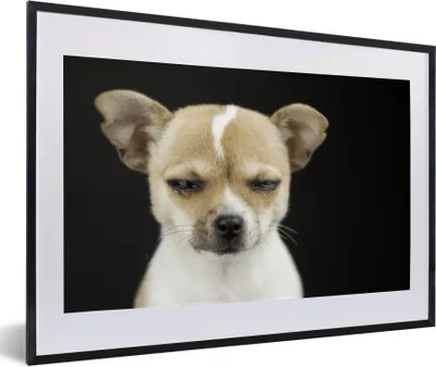 Produktbild von MuchoWow® Gerahmtes Poster Hund - Haustiere - Porträt 60x40 cm - Poster mit Schwarzem Bilderrahmen Wandposter Rahmen Foto Bilder - Schlafzimmer - Plakat in Rahmen - Drucken