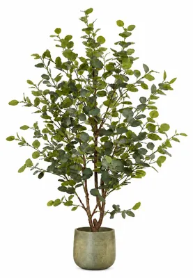 Obrázek produktu pro Mica Decorations Umělá rostlina Eukalyptus v květináči - H180 x Ø80 cm - zelená