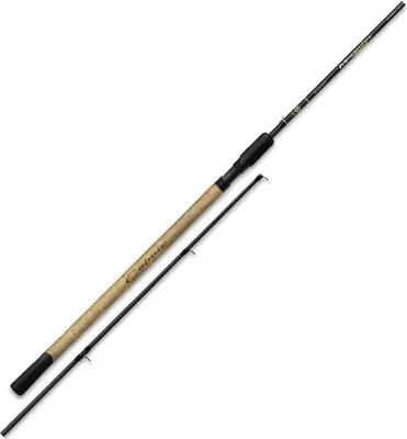Immagine prodotto di Colmic Mirage S31 Special Carp 3,0m 70g