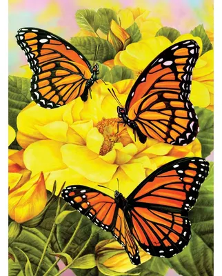 Produktbild von Malen nach Zahlen Bild  Junior 33x24cm Monarch