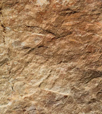 Produktbild von Fototapete - Marble 225x250cm - Vliestapete