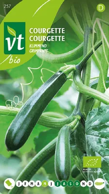 Produktbild von Semená cukety - približne 1 gr | VT_257