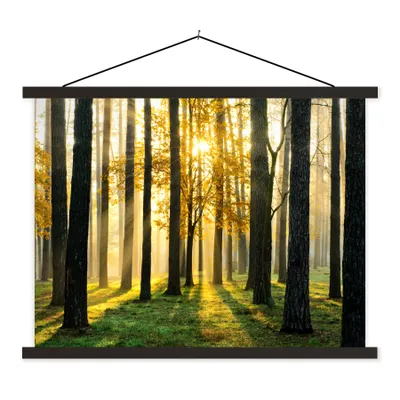 Produktbild von MuchoWow® Textilposter Wald - Sonne - Bäume - Gras - Landschaft - Natur 150x113 cm mit schwarzem Rahmen - Wohnzimmer