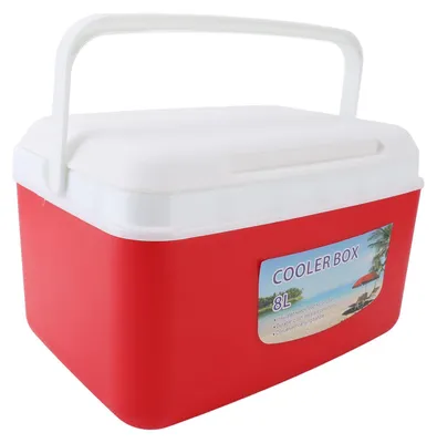 Tragbare Kühlbox 8 L – Kunststoff, isoliert, für Camping & Picknick