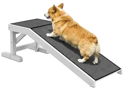 Imagen del producto de Rampa para perros Silecomplaza, con escalones y superficie antideslizante, ideal para SUV, dimensiones: 125 x 40 cm