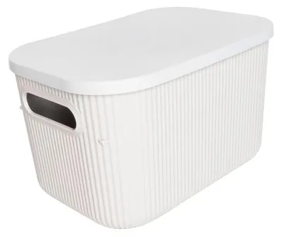 Produktbild von Aufbewahrungsbox ALYTHIA