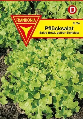 Produktbild von Pflücksalat Eichblatt gelb