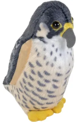 Produktbild von Wild Republic Plusch Wanderfalke Pluschtier mit Sound 13 cm - Vogel