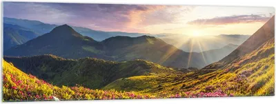 Produktbild von Bilder auf glas - Gebirge Wiese Landschaft Wald - 160x50cm - Glasbilder - Wandbilder - Kunstdruck - zum Aufhängen bereit - Wanddekoration aus Glas - Glas Bilder - Wandbild auf Glas - GAB160x50-3152