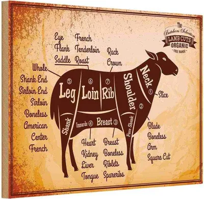 Produktbild von vianmo Holzschild 20x30 cm Lamm Lamb cuts Organic Metzgerei Hofladen Marktstand Laden