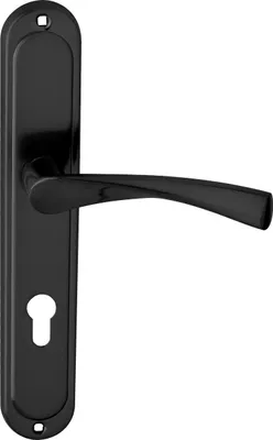 A black door handle set with a keyhole on a white background.