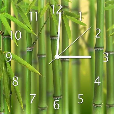 Produktbild von Wallario Design Wanduhr Grüner Bambuswald aus Echtglas, Größe 30 x 30 cm