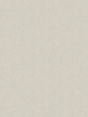 Immagine prodotto di Carta da parati Borastapeter tinta unita beige - 660227 - 53 cm x 10,05 m
