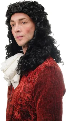 Produktbild von WIG ME UP Perücke Barock Edelmann Locken Schwarz 91030-ZA103
