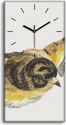 Produktbild von Wandkunst Leinwand Bild Uhr Geräuschlos 30x60 Zeichnung Tier Vogel Kunst - schwarze Hände
