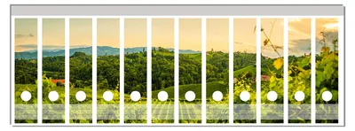 Produktbild von Wallario Ordnerrücken Sticker, selbstklebend für breite Ordner, 12 Stück, Motiv Abendlicht über Weinbergen