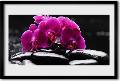 Produktbild von Bild 60x40 MDF-Rahmen Wandkunst Zen Steine ​​Orchid Spa