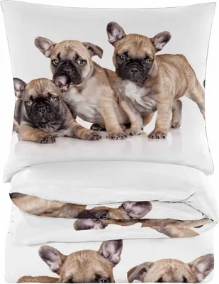 A collage of images showing a bedding set with French Bulldog puppies.