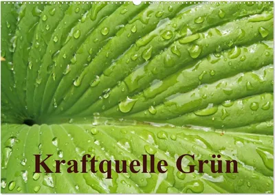 Produktbild von Kraftquelle Grün (Wandkalender 2025 DIN A2 quer), CALVENDO Monatskalender