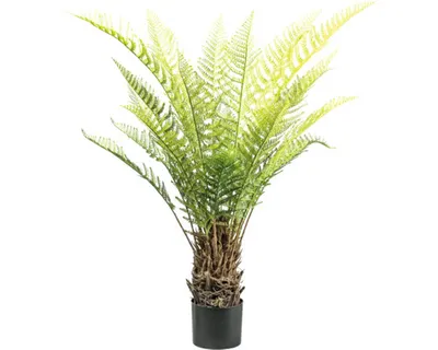 Obrázek produktu pro Umělá rostlina Cyatheales 115 cm zelená