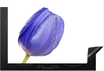 Produktbild von KitchenYeah© Herdabdeckplatte Blaue Tulpe mit Wassertropfen , 77x51cm, Küche Deko, Glaskeramikkochfeld Herdabdeckung, Abdeckplatte fùr Kochfeld