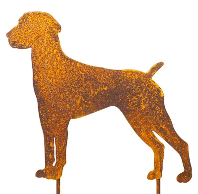 Gartenstecker Dobermann Hund Metall Rostoptik 40 cm