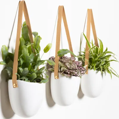 Produktbild von GADGY® Hängende Blumentöpfe - Set 3 Stück Blumentopf Wand - Keramik Hängeampel - Wandvasen für Pflanzen - Hängeblumentöpfe Innen - Wandpflanzenhalter - Skandinavische Deko - Wanddeko Flur