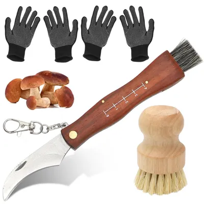 Produktbild von Pilzmesser Set mit Bürste und Handschuhen Klappmesser Edelstahl Outdoor Garten Camping