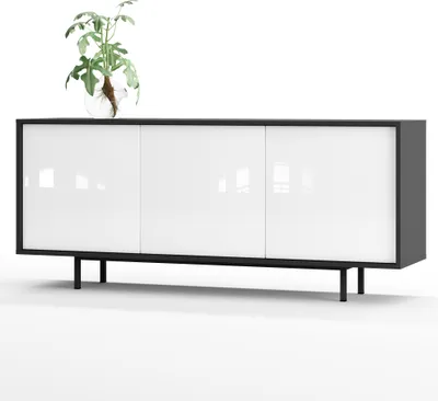 A modern sideboard with a plant on top, displayed against a white background.