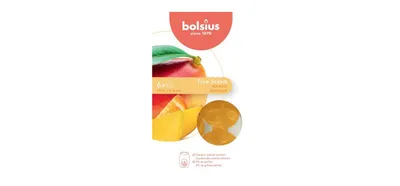 Produktbild von Wachsschmelzen 6er Pack Wahre Düfte Mango