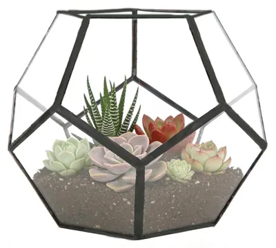 Obrázek produktu pro Geometrické skleněné terárium pro sukulenty a vzdušné rostliny