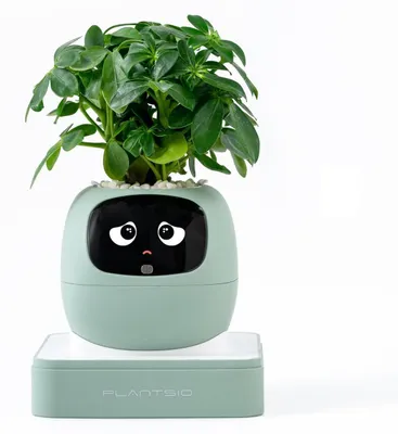 Productafbeelding van Slimme plantenpot met AI-gebaseerde emotie-indicator, model: Munt