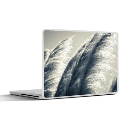 Produktbild von MuchoWow® Laptop Aufkleber Sticker Cover Pampasgras - Schwarz - Weiß - Natur 30x22 cm - Laptop-Sticker