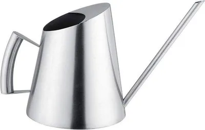 Immagine prodotto di Annaffiatoio in acciaio inossidabile da 1500 ml per piante