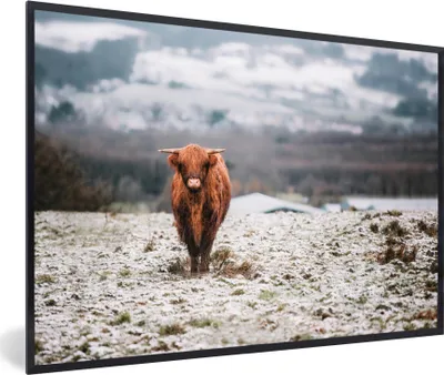 Produktbild von MuchoWow® MuchoWow® Gerahmtes Poster Schottisches Hochlandrind - Schnee - Berg 60x40 cm - Poster mit zchwarzem Bilderrahmen - Printing - Wanddeko Schlafzimmer