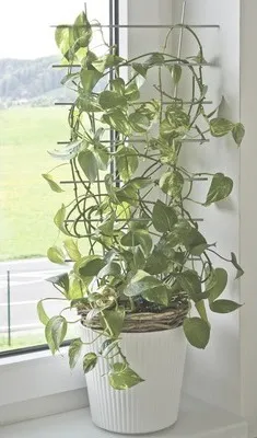 Obrázek produktu pro Mřížka na květiny FloraSelf 24 x 44 cm stříbrná